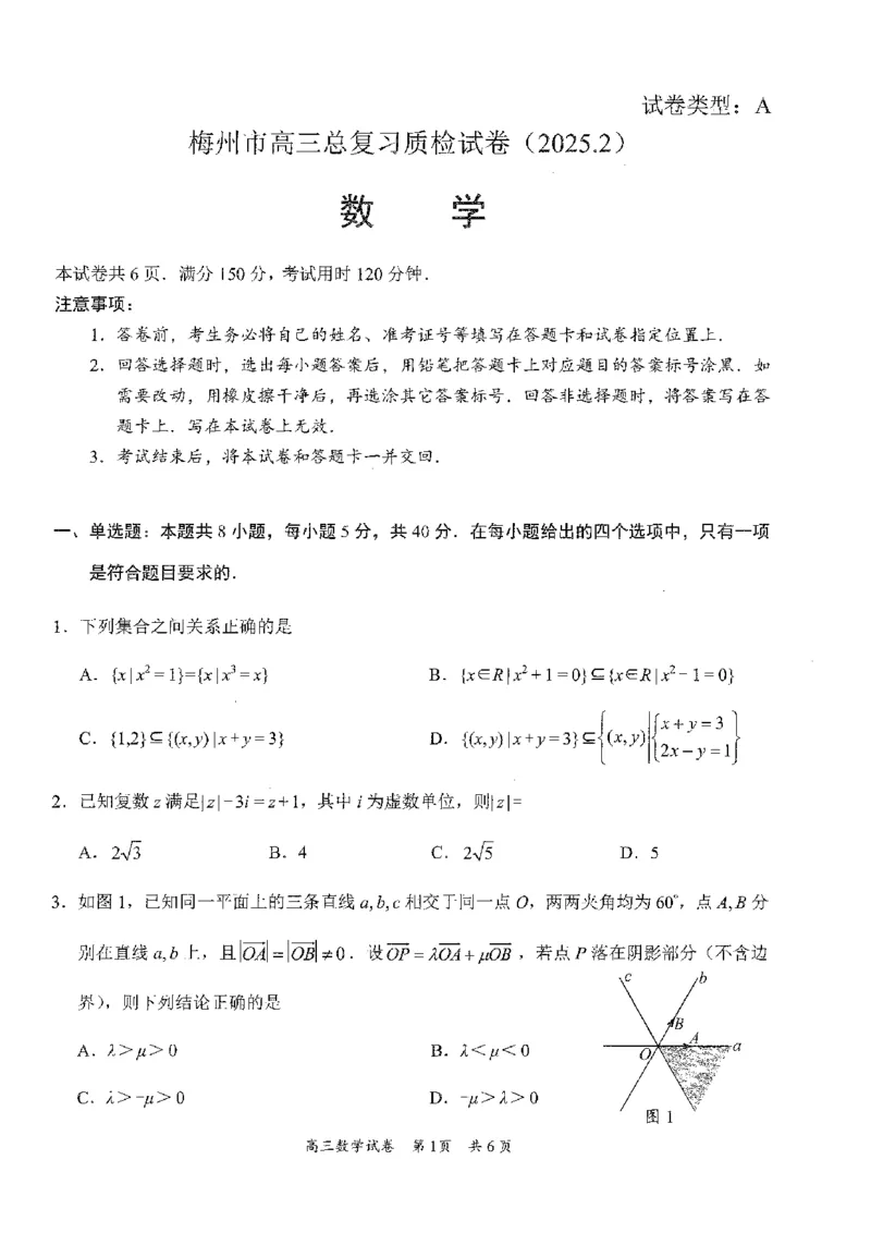 数学试卷_2025年2月_2502192025届广东省梅州市高三下学期模拟预测（一）（全科）_2025届广东梅州一模数学