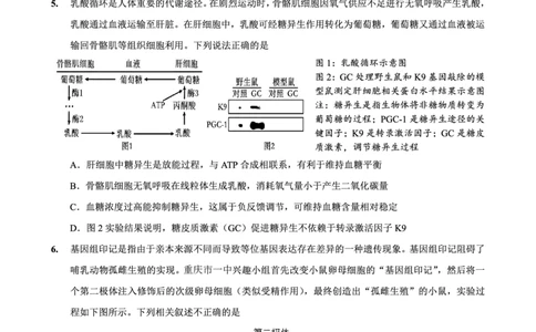 重庆市第一中学校2025届高三下学期2月开学考试生物_2025年2月_250223重庆市第一中学校2025届高三下学期2月开学考试（全科）_重庆市第一中学校2025届高三下学期2月开学考试生物