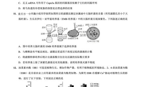 重庆市第一中学校2025届高三下学期2月开学考试生物_2025年2月_250223重庆市第一中学校2025届高三下学期2月开学考试（全科）_重庆市第一中学校2025届高三下学期2月开学考试生物