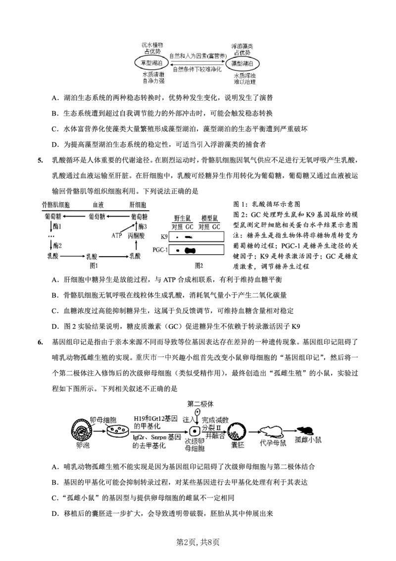 重庆市第一中学校2025届高三下学期2月开学考试生物_2025年2月_250223重庆市第一中学校2025届高三下学期2月开学考试（全科）_重庆市第一中学校2025届高三下学期2月开学考试生物