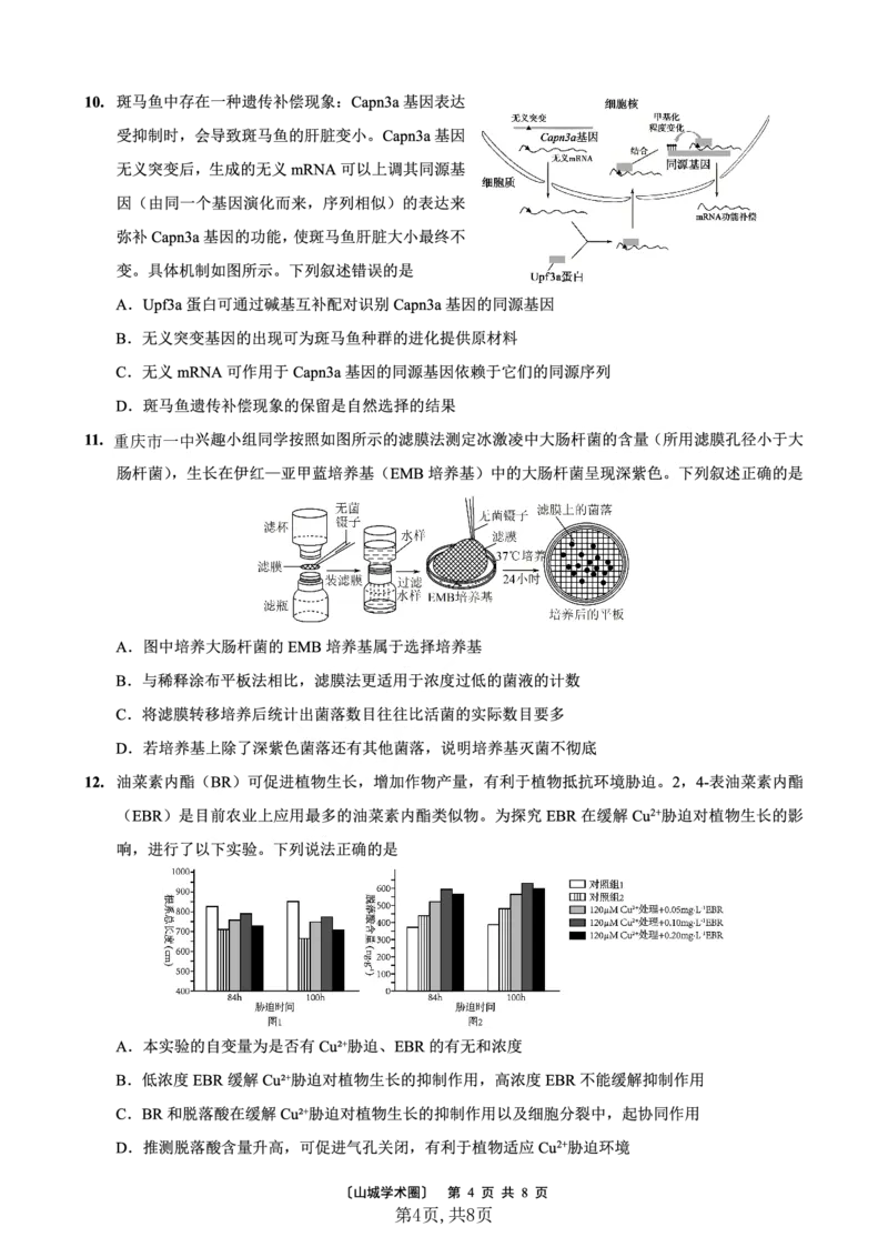 重庆市第一中学校2025届高三下学期2月开学考试生物_2025年2月_250223重庆市第一中学校2025届高三下学期2月开学考试（全科）_重庆市第一中学校2025届高三下学期2月开学考试生物