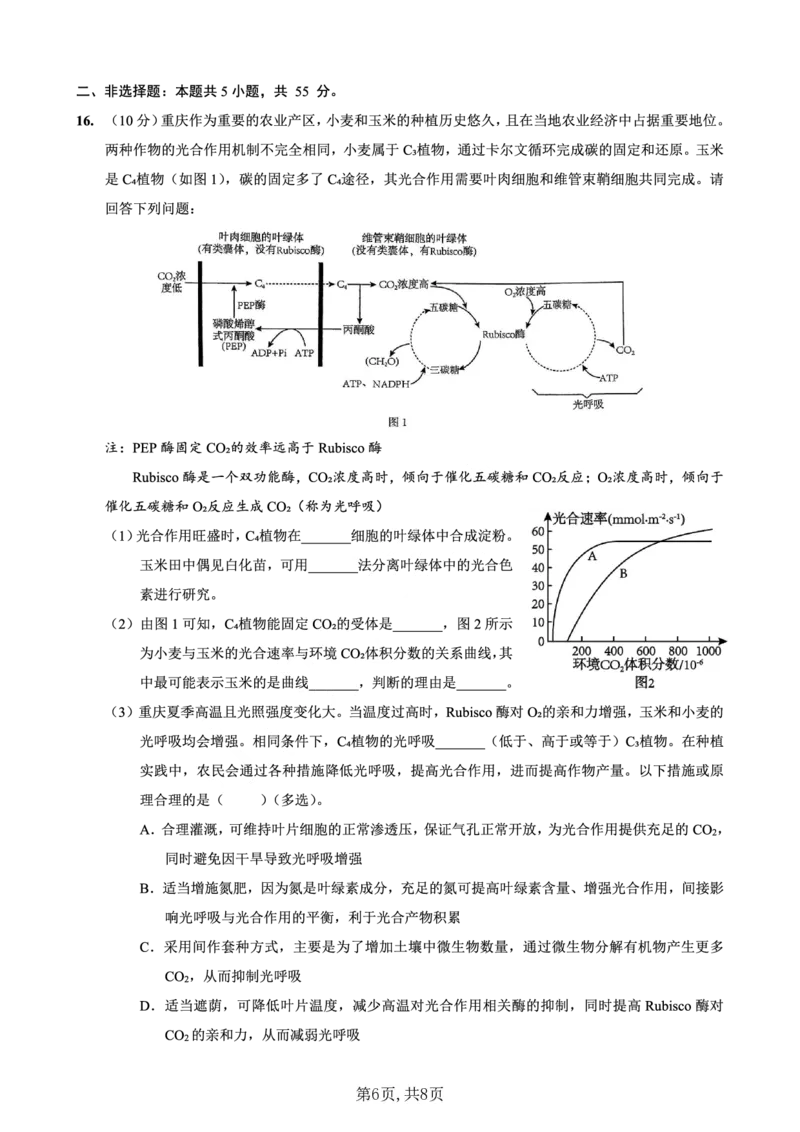 重庆市第一中学校2025届高三下学期2月开学考试生物_2025年2月_250223重庆市第一中学校2025届高三下学期2月开学考试（全科）_重庆市第一中学校2025届高三下学期2月开学考试生物