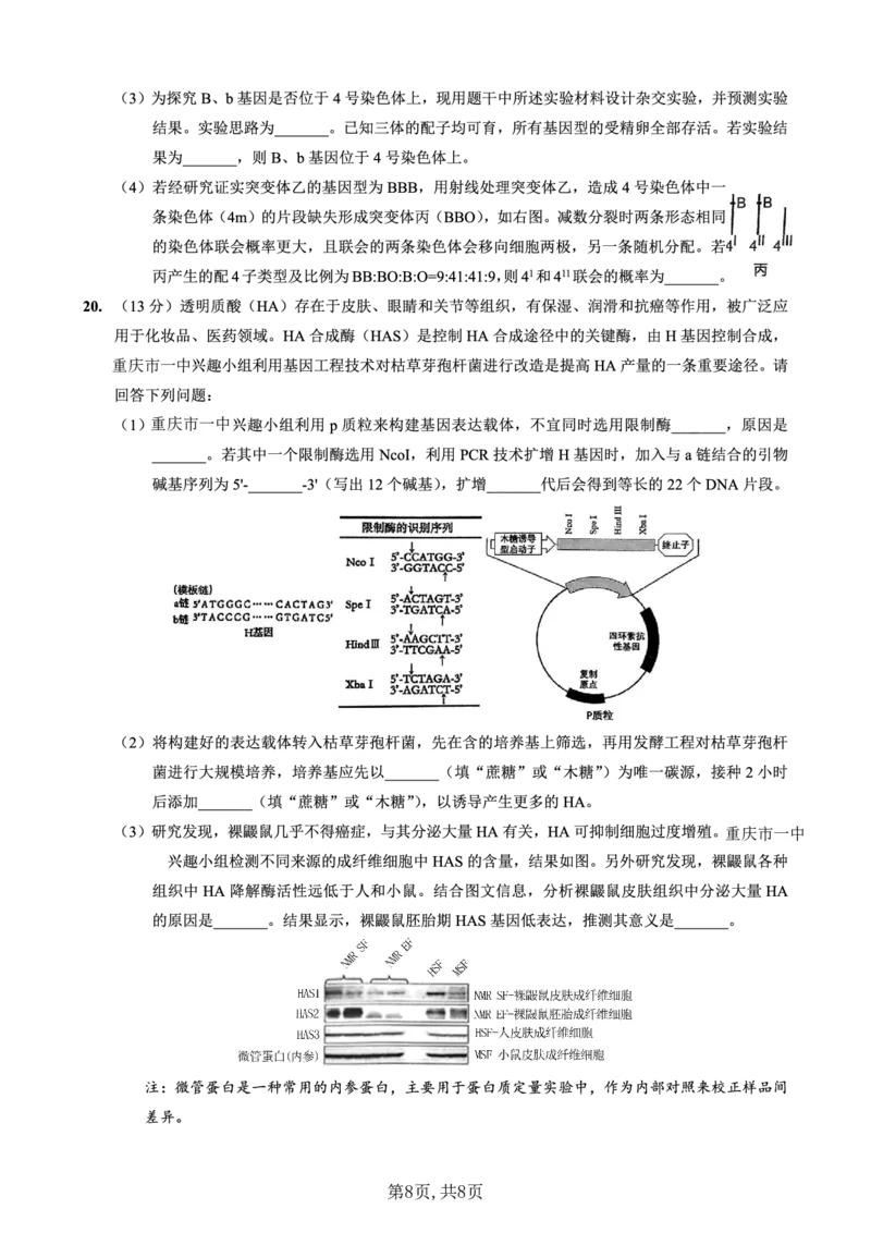 重庆市第一中学校2025届高三下学期2月开学考试生物_2025年2月_250223重庆市第一中学校2025届高三下学期2月开学考试（全科）_重庆市第一中学校2025届高三下学期2月开学考试生物