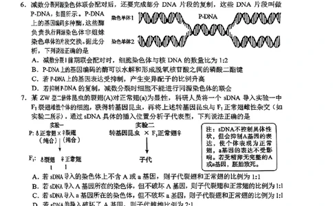 山东省菏泽市2025年高三二模考试生物_2025年5月_250511山东省菏泽市2025年高三二模考试（菏泽二模）（全科）