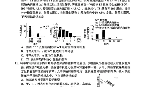山东省菏泽市2025年高三二模考试生物_2025年5月_250511山东省菏泽市2025年高三二模考试（菏泽二模）（全科）