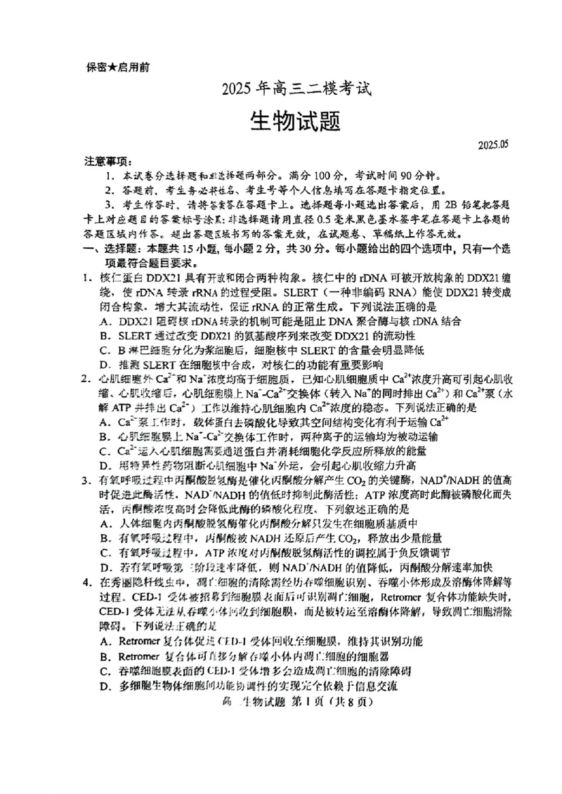 山东省菏泽市2025年高三二模考试生物_2025年5月_250511山东省菏泽市2025年高三二模考试（菏泽二模）（全科）