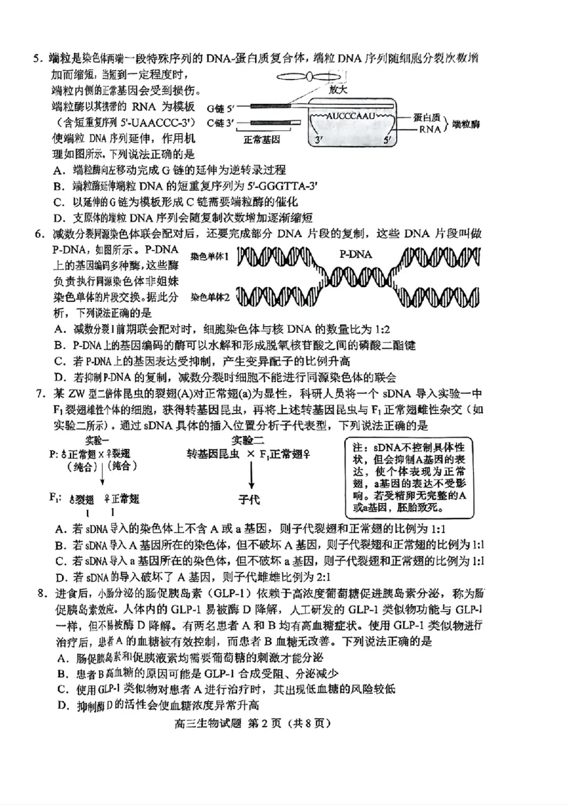山东省菏泽市2025年高三二模考试生物_2025年5月_250511山东省菏泽市2025年高三二模考试（菏泽二模）（全科）
