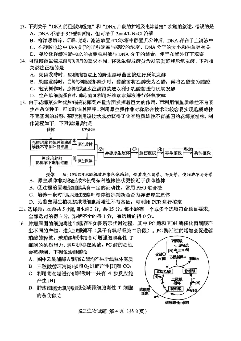 山东省菏泽市2025年高三二模考试生物_2025年5月_250511山东省菏泽市2025年高三二模考试（菏泽二模）（全科）