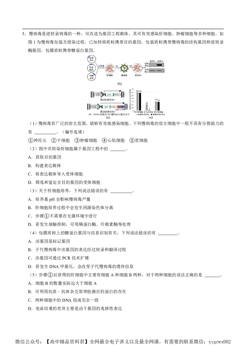 2024上海生物等级考考前必刷信息卷1含解析_2024高考押题卷_62024学科网全系列_2024年高考考前信息必刷卷_（上海）信息必刷卷_2024上海生物等级考考前必刷信息卷（1-5）