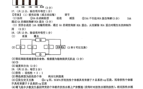 福州三中2024-2025学年第二学期高三第十四次质量检测生物答案_2025年4月_250404福建省福州第三中学2024-2025学年高三下学期第十四次质量检测