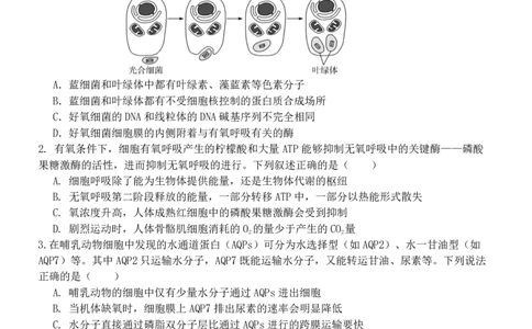 河南省实验中学2024-2025学年高三下学期第四次模拟考试生物_2025年5月_250527河南省实验中学2024-2025学年高三下学期第四次模拟考试（全科）