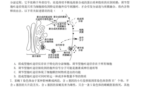河南省实验中学2024-2025学年高三下学期第四次模拟考试生物_2025年5月_250527河南省实验中学2024-2025学年高三下学期第四次模拟考试（全科）