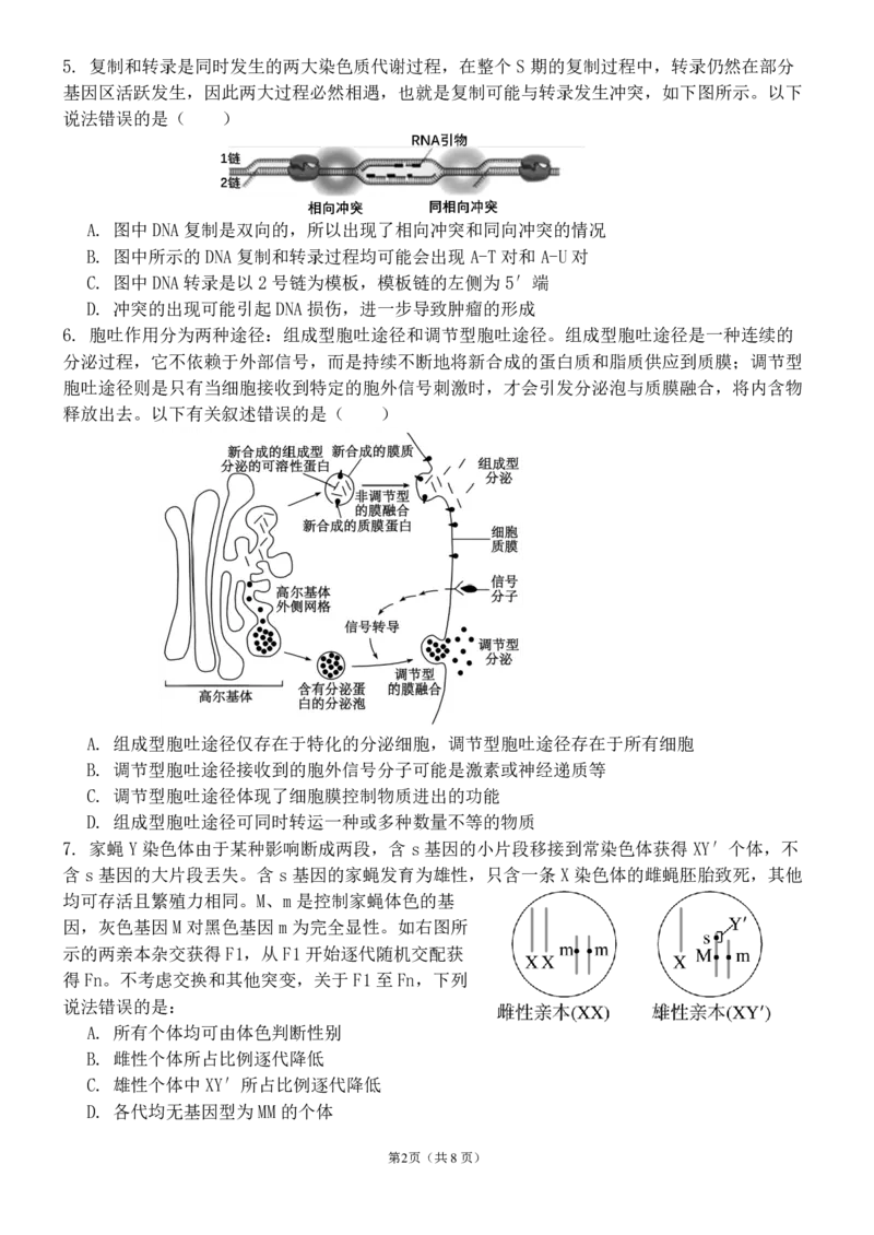 河南省实验中学2024-2025学年高三下学期第四次模拟考试生物_2025年5月_250527河南省实验中学2024-2025学年高三下学期第四次模拟考试（全科）