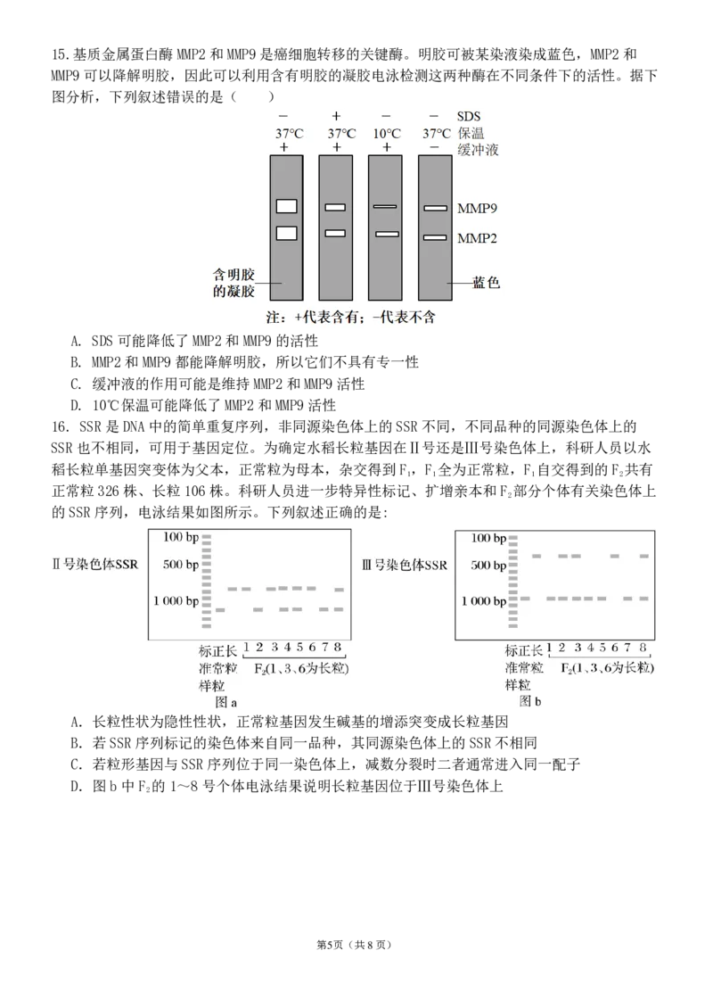 河南省实验中学2024-2025学年高三下学期第四次模拟考试生物_2025年5月_250527河南省实验中学2024-2025学年高三下学期第四次模拟考试（全科）