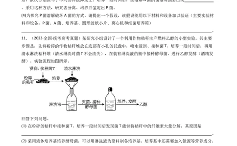 专题23发酵工程（原卷卷）_近10年高考真题汇编（必刷）_十年（2014-2024）高考生物真题分项汇编（全国通用）_十年（2014-2023）高考生物真题分项汇编（全国通用）