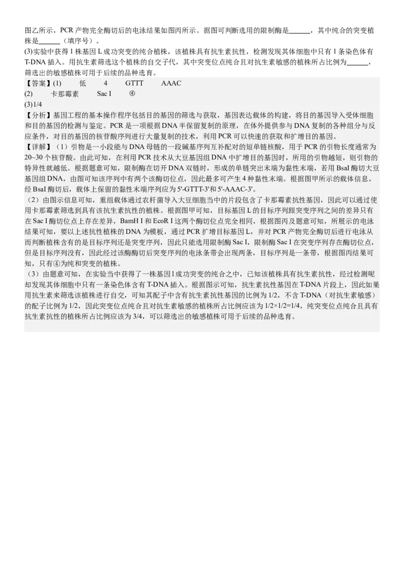 山东生物-答案-p_近10年高考真题汇编（必刷）_2024年高考真题_高考真题（截止6.29）_山东卷副科（6科全）