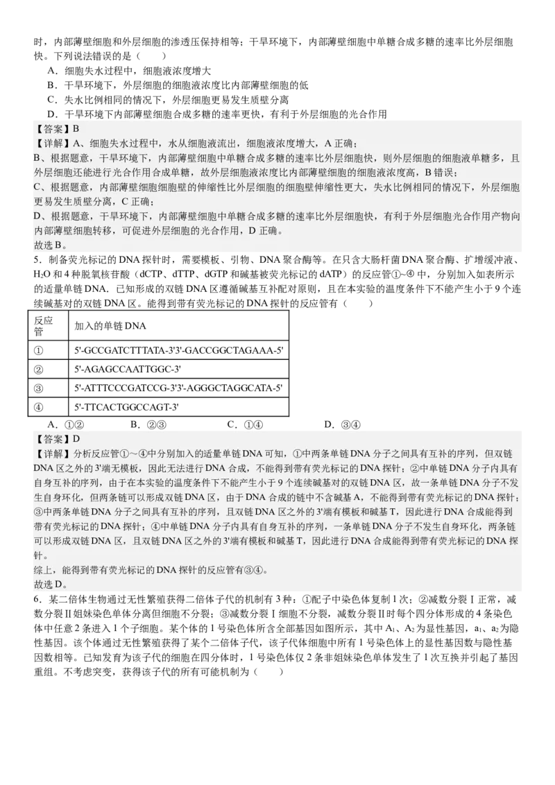 山东生物-答案-p_近10年高考真题汇编（必刷）_2024年高考真题_高考真题（截止6.29）_山东卷副科（6科全）