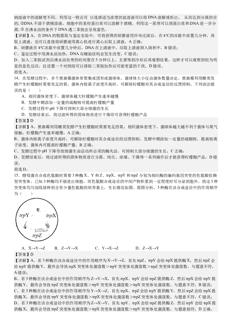 山东生物-答案-p_近10年高考真题汇编（必刷）_2024年高考真题_高考真题（截止6.29）_山东卷副科（6科全）