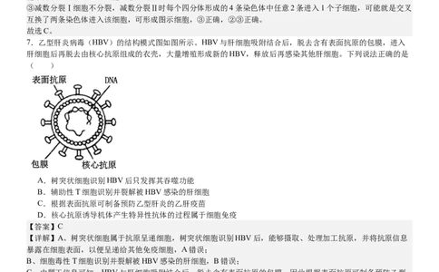 山东生物-答案-p_近10年高考真题汇编（必刷）_2024年高考真题_高考真题（截止6.29）_山东卷副科（6科全）