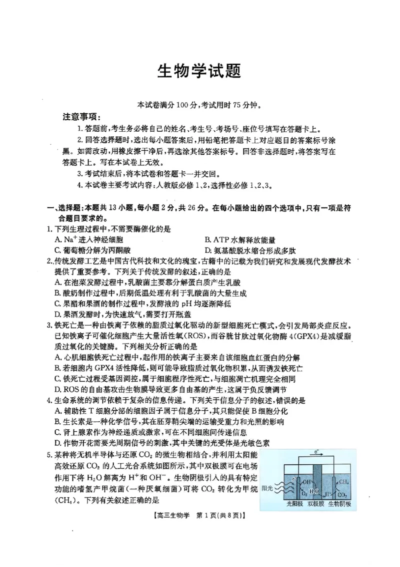 河北金太阳&ldquo;五个一&rdquo;名校联盟2026届高三年级联考生物试题含答案(1)_2026年1月_260121河北五个一名校联盟2026届高三1月联考（全科）