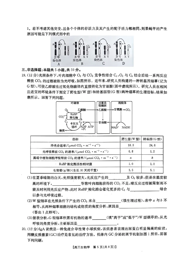 河北金太阳&ldquo;五个一&rdquo;名校联盟2026届高三年级联考生物试题含答案(1)_2026年1月_260121河北五个一名校联盟2026届高三1月联考（全科）