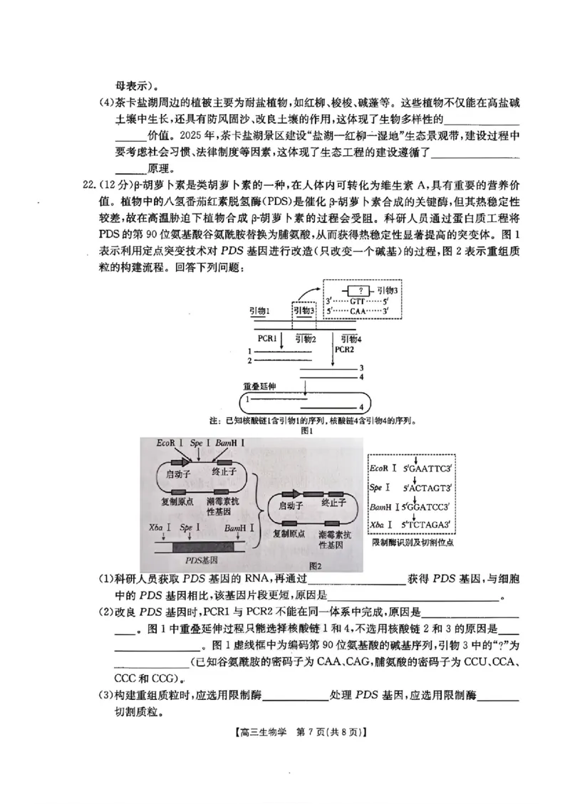 河北金太阳&ldquo;五个一&rdquo;名校联盟2026届高三年级联考生物试题含答案(1)_2026年1月_260121河北五个一名校联盟2026届高三1月联考（全科）