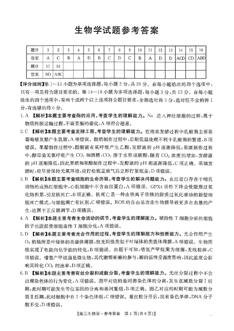 河北金太阳&ldquo;五个一&rdquo;名校联盟2026届高三年级联考生物试题含答案(1)_2026年1月_260121河北五个一名校联盟2026届高三1月联考（全科）