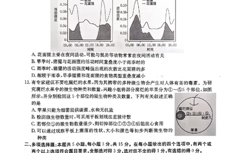 河北金太阳&ldquo;五个一&rdquo;名校联盟2026届高三年级联考生物试题含答案(1)_2026年1月_260121河北五个一名校联盟2026届高三1月联考（全科）