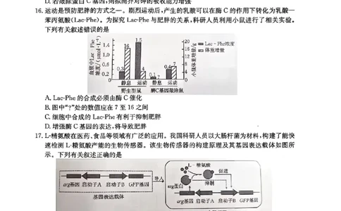 河北金太阳&ldquo;五个一&rdquo;名校联盟2026届高三年级联考生物试题含答案(1)_2026年1月_260121河北五个一名校联盟2026届高三1月联考（全科）