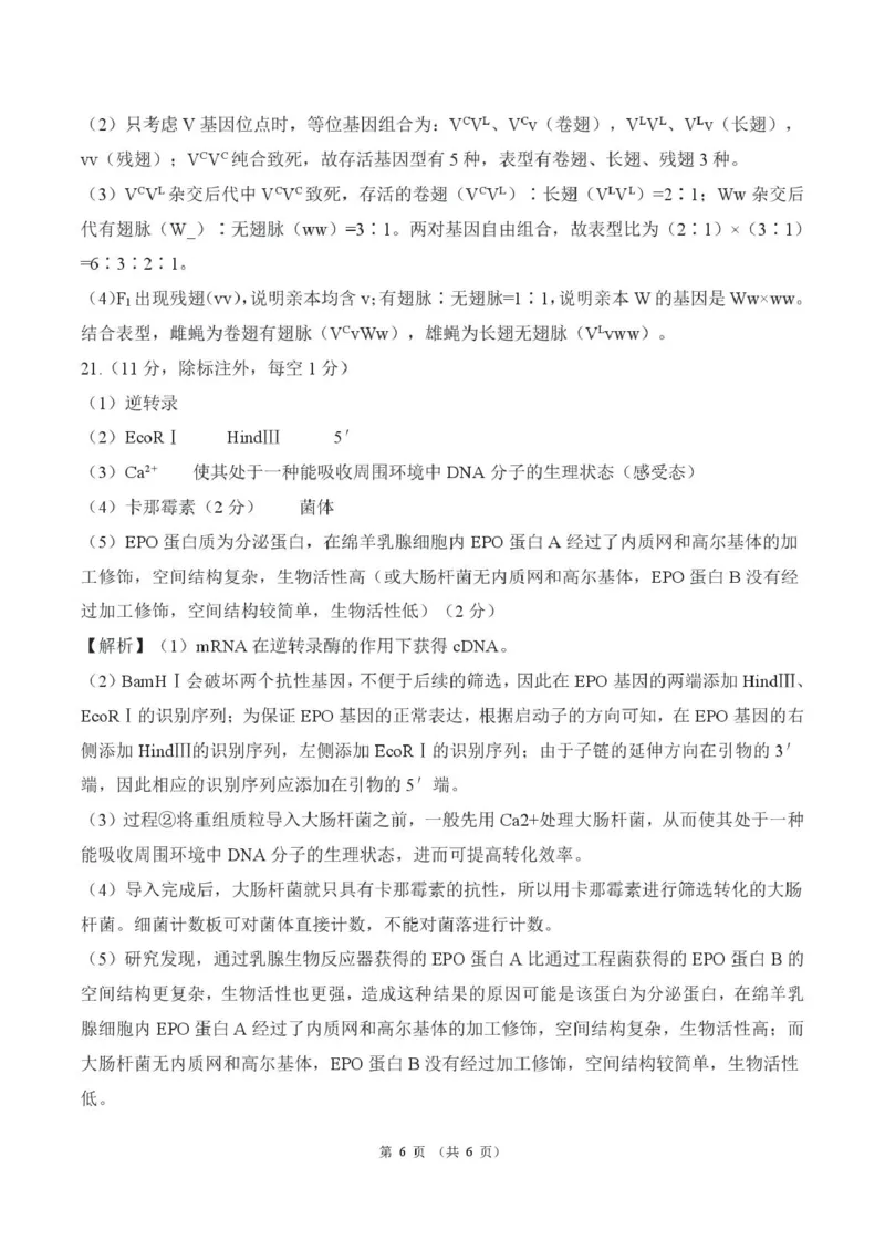 2025年甘肃省酒泉市高三上学期期末全市联考生物答案(1)_2026年1月_260109百师联盟2025&mdash;2026学年高三年级上学期期末考试（全科）_百师联盟2025&mdash;2026学年高三年级上学期期末考试生物