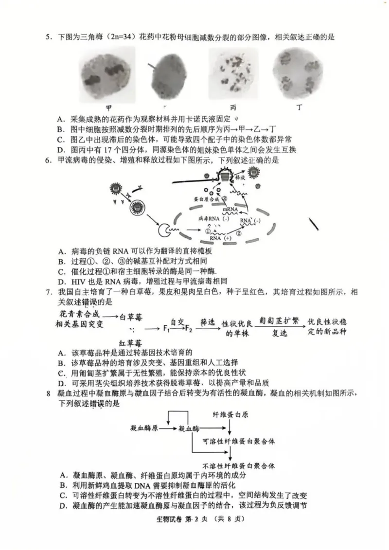 江苏省扬州市2025-2026学年高三上学期期末考试生物试题(1)_2026年1月_260122江苏省扬州市2026届高三上学期期末考试(扬州一模)（全科）