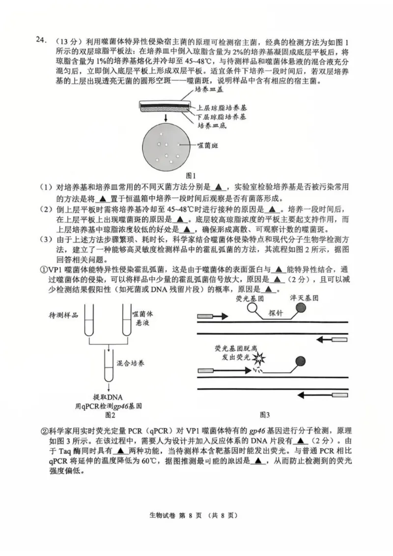 江苏省扬州市2025-2026学年高三上学期期末考试生物试题(1)_2026年1月_260122江苏省扬州市2026届高三上学期期末考试(扬州一模)（全科）