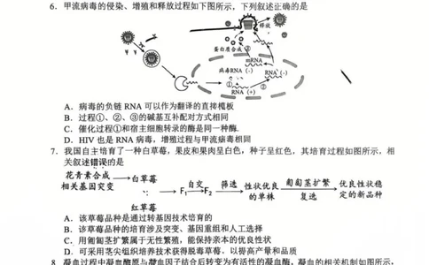 江苏省扬州市2025-2026学年高三上学期期末考试生物试题(1)_2026年1月_260122江苏省扬州市2026届高三上学期期末考试(扬州一模)（全科）