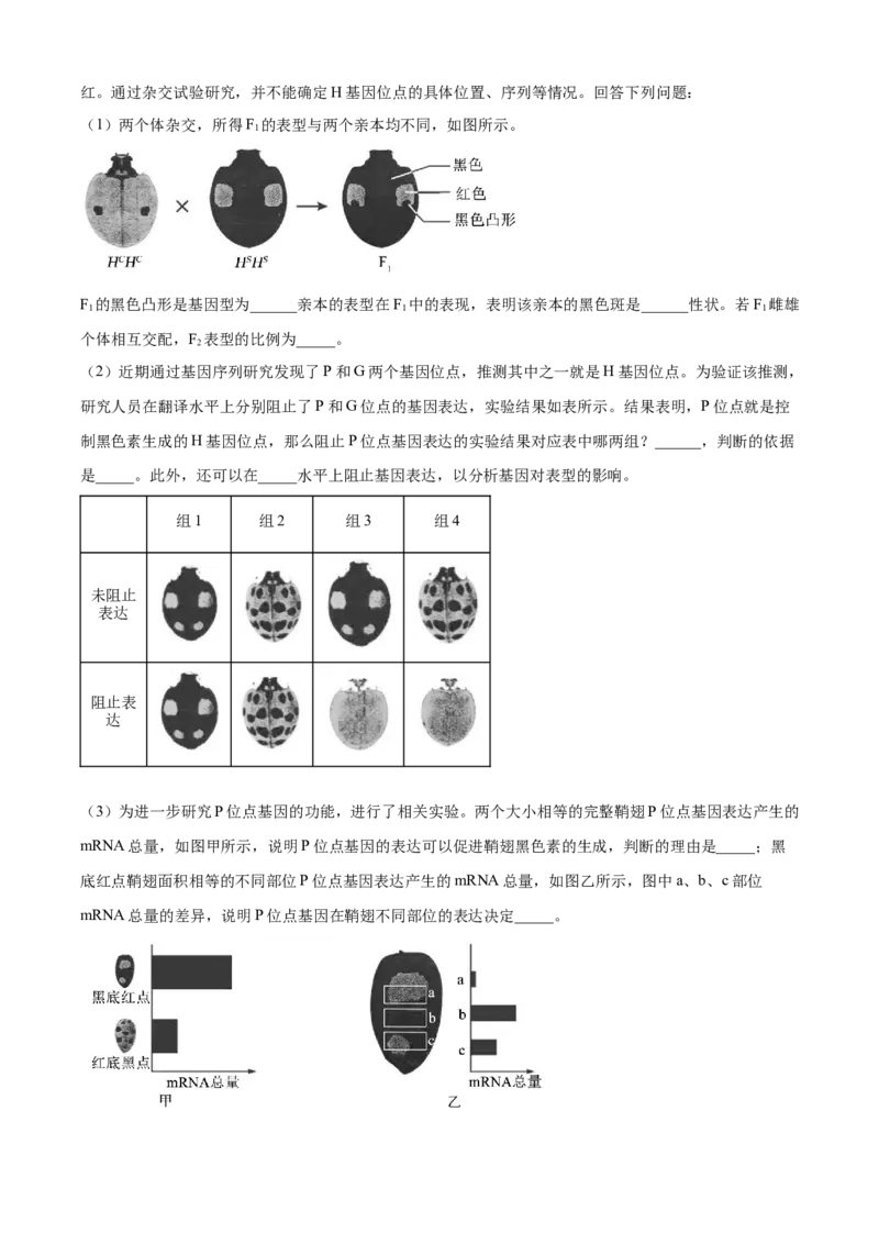 精品解析：2024年6月浙江卷生物高考真题（解析版）_高考真题全网收集_生物学_2024年新高考6月浙江卷生物高考真题解析（参考版）