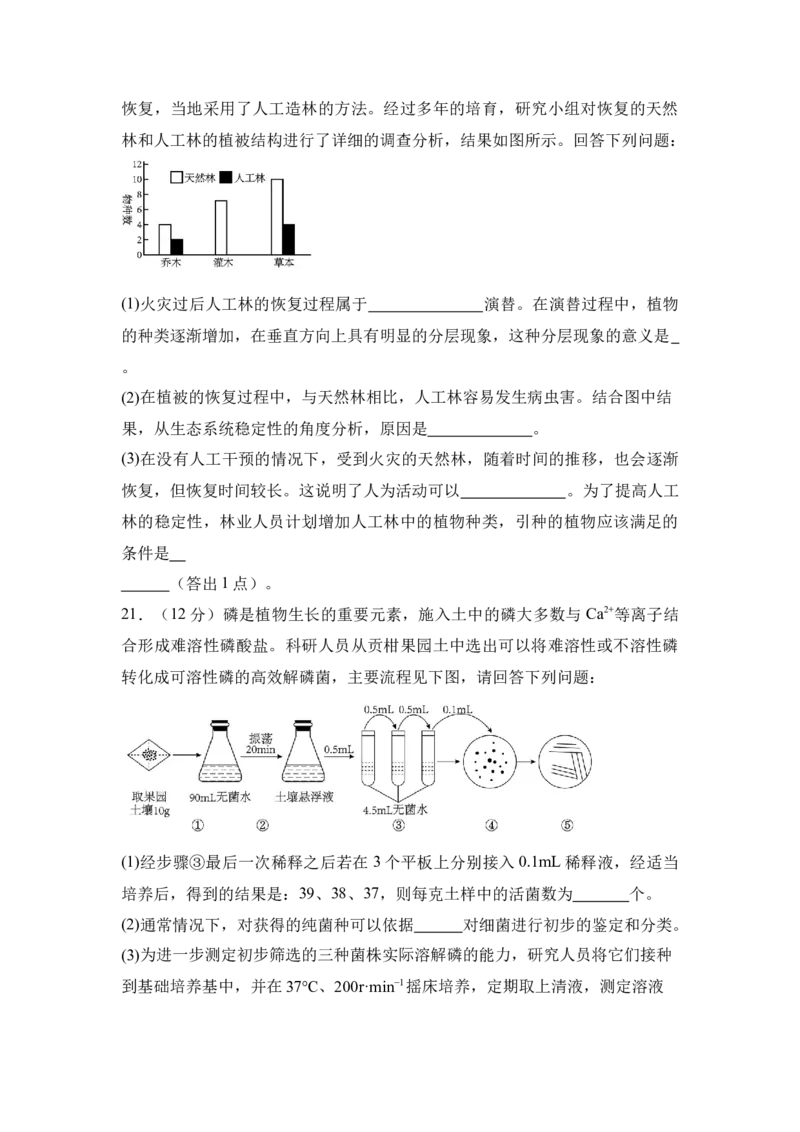 湖南省名校联考2024-2025学年高三上学期10月联考生物试题(含解析)_11月_241103湖南省名校联考2024-2025学年高三上学期10月月考