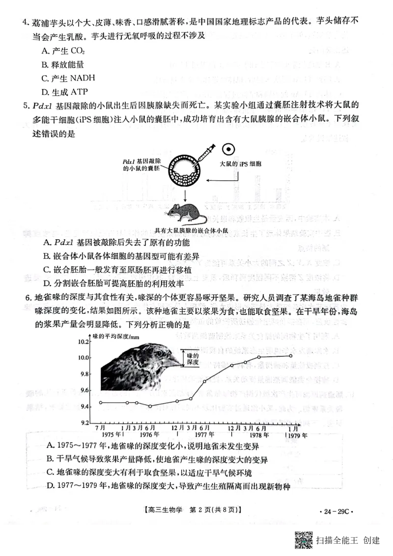 广西普通高中2024届高三年级跨市联合适应性训练检测卷生物(1)_2023年10月_0210月合集_2024届广西普通高中高三年级跨市联合适应性训练检测卷