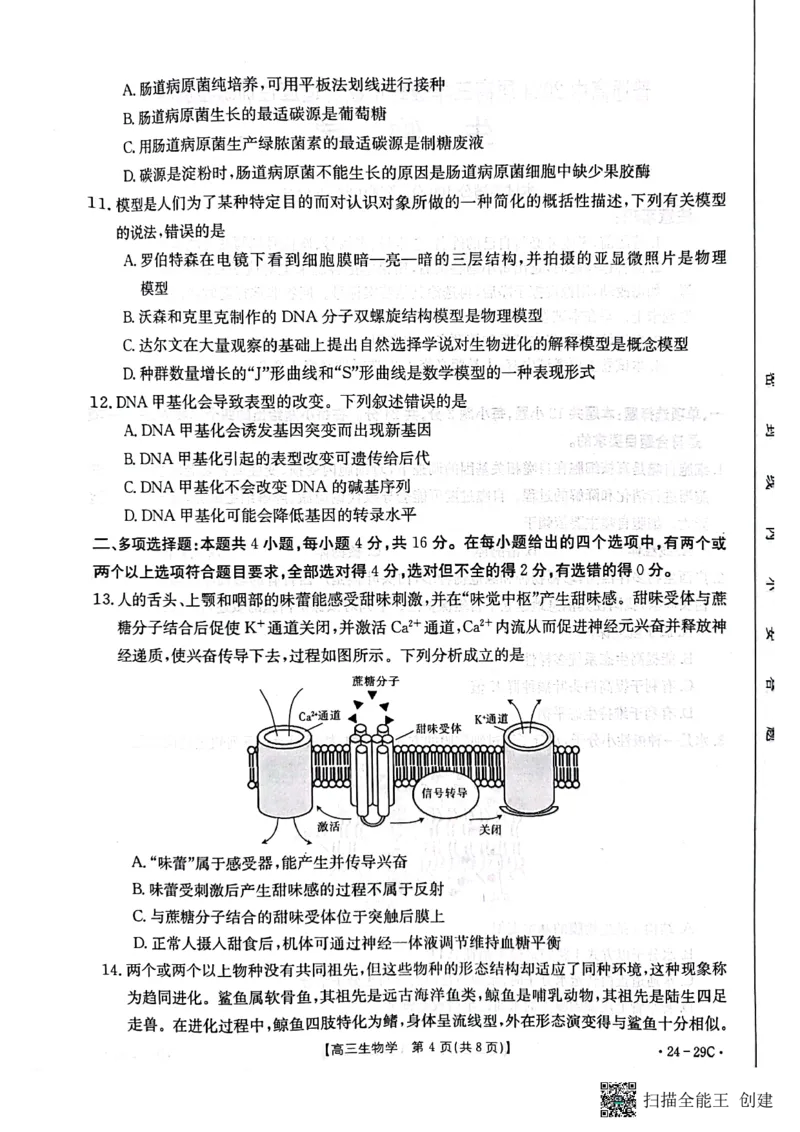 广西普通高中2024届高三年级跨市联合适应性训练检测卷生物(1)_2023年10月_0210月合集_2024届广西普通高中高三年级跨市联合适应性训练检测卷