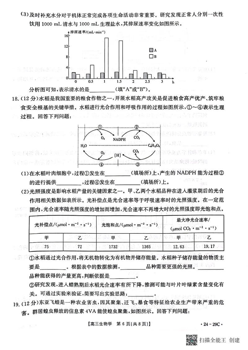 广西普通高中2024届高三年级跨市联合适应性训练检测卷生物(1)_2023年10月_0210月合集_2024届广西普通高中高三年级跨市联合适应性训练检测卷
