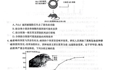 广西普通高中2024届高三年级跨市联合适应性训练检测卷生物(1)_2023年10月_0210月合集_2024届广西普通高中高三年级跨市联合适应性训练检测卷