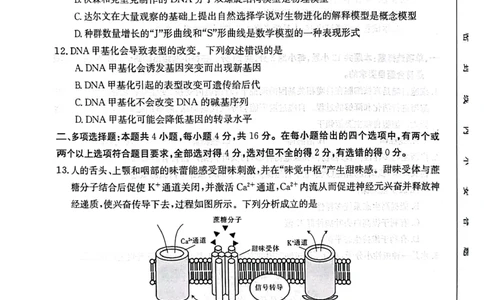 广西普通高中2024届高三年级跨市联合适应性训练检测卷生物(1)_2023年10月_0210月合集_2024届广西普通高中高三年级跨市联合适应性训练检测卷