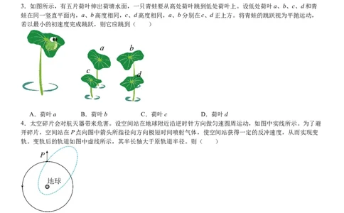 湖北物理-试题-p_近10年高考真题汇编（必刷）_2024年高考真题_高考真题（截止6.29）_湖北卷副科（6科全）