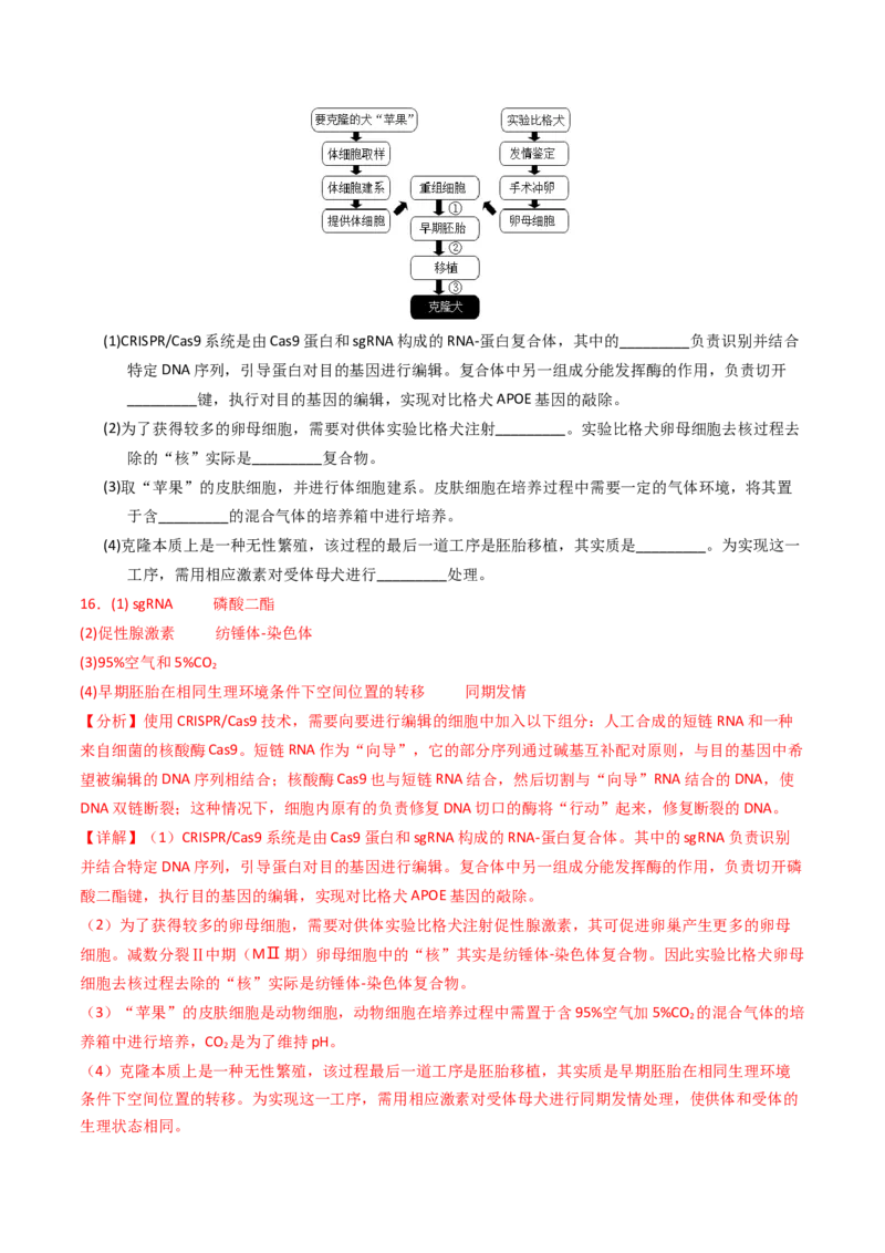 专题19细胞工程与胚胎工程（解析卷）_近10年高考真题汇编（必刷）_十年（2014-2024）高考生物真题分项汇编（全国通用）_2023年高考真题和模拟题生物分项汇编（全国通用）