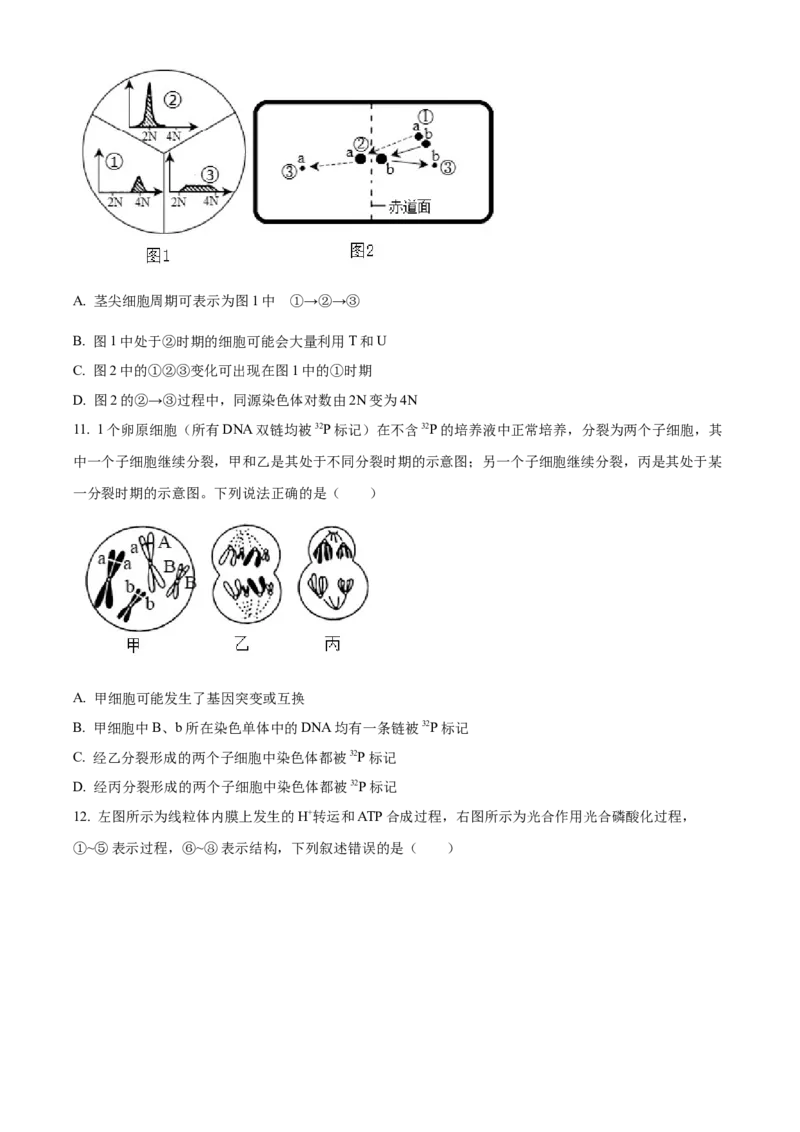 山东省德州市禹城市综合高中2023-2024学年高三10月月考考生物试题(1)_2023年10月_0210月合集_2024届山东省德州市禹城市综合高中高三10月月考
