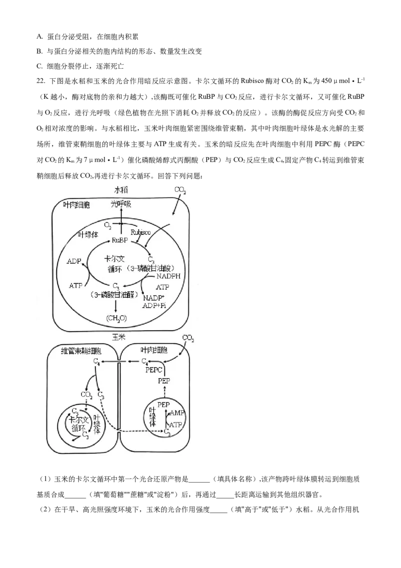 山东省德州市禹城市综合高中2023-2024学年高三10月月考考生物试题(1)_2023年10月_0210月合集_2024届山东省德州市禹城市综合高中高三10月月考