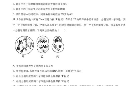 山东省德州市禹城市综合高中2023-2024学年高三10月月考考生物试题(1)_2023年10月_0210月合集_2024届山东省德州市禹城市综合高中高三10月月考