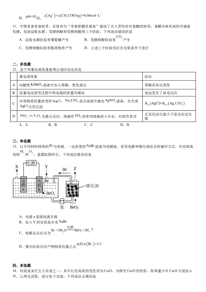 山东化学-试题-p_近10年高考真题汇编（必刷）_2024年高考真题_高考真题（截止6.29）_山东卷副科（6科全）