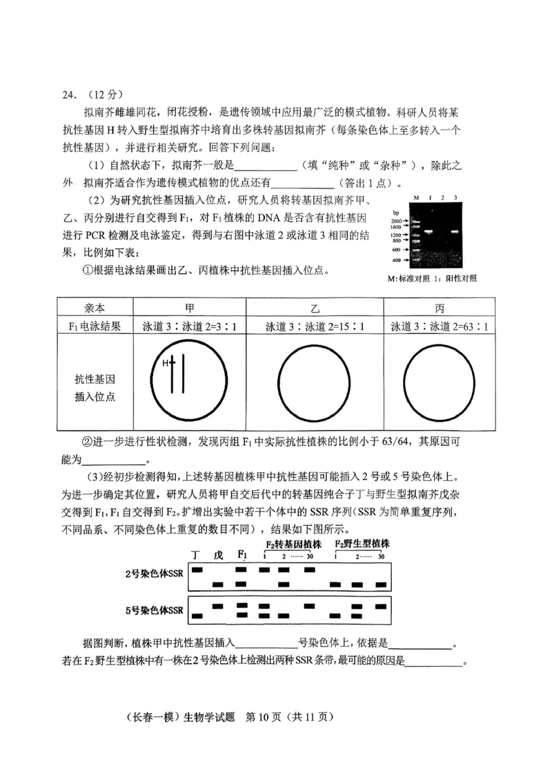 生物试卷-长春市2826届高三质量监测（一）(1)_2026年1月_260107吉林省长春市2026届高三年级质量检测（一）（长春一模）（全科）