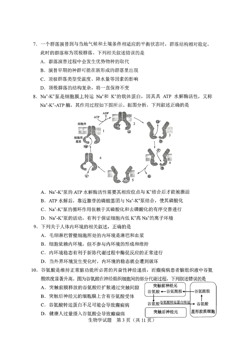 生物试卷-长春市2826届高三质量监测（一）(1)_2026年1月_260107吉林省长春市2026届高三年级质量检测（一）（长春一模）（全科）