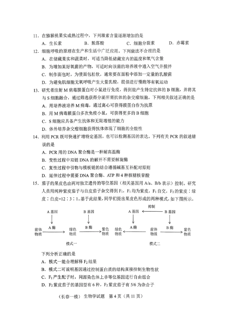 生物试卷-长春市2826届高三质量监测（一）(1)_2026年1月_260107吉林省长春市2026届高三年级质量检测（一）（长春一模）（全科）