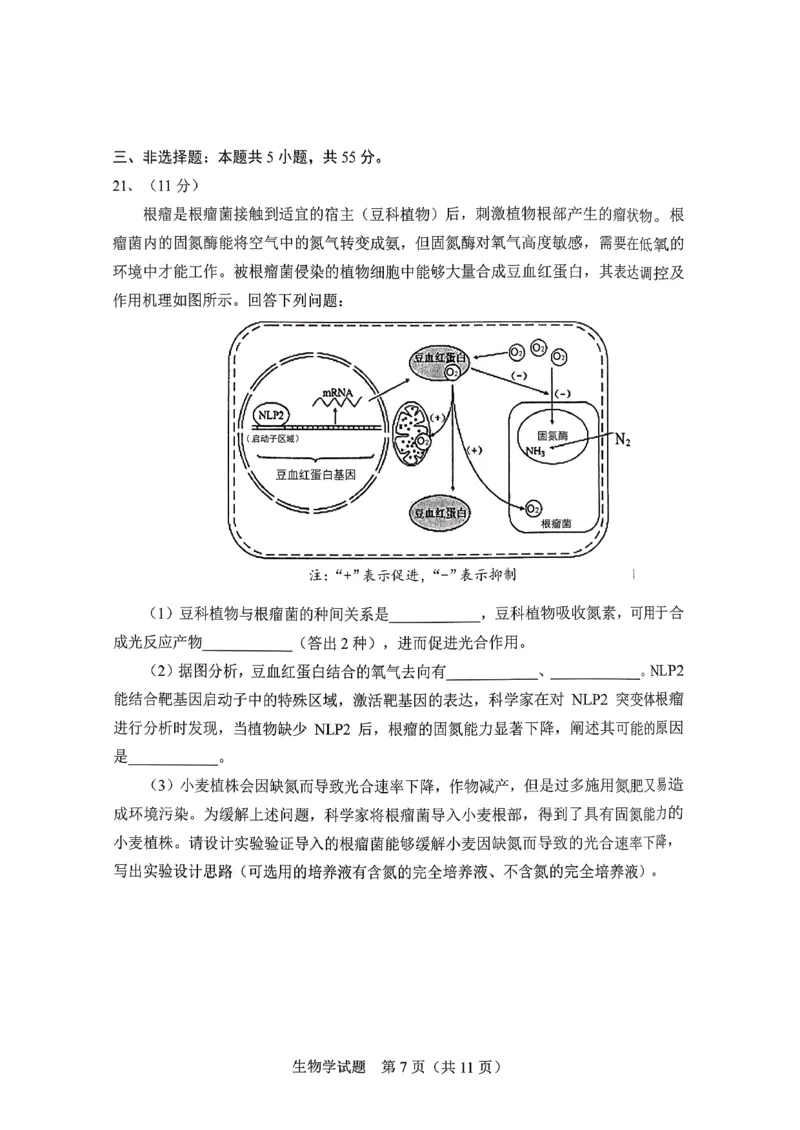 生物试卷-长春市2826届高三质量监测（一）(1)_2026年1月_260107吉林省长春市2026届高三年级质量检测（一）（长春一模）（全科）